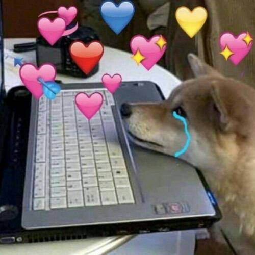 สมาชิกหมายเลข 3859066