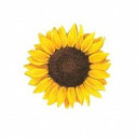 สมาชิกหมายเลข 4646531