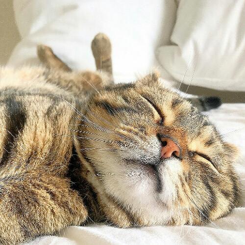 สมาชิกหมายเลข 5007773