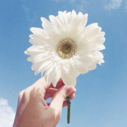 สมาชิกหมายเลข 5124117