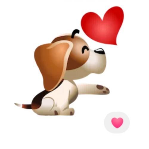 สมาชิกหมายเลข 5907208