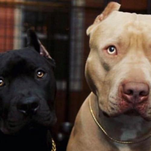 สมาชิกหมายเลข 4379072