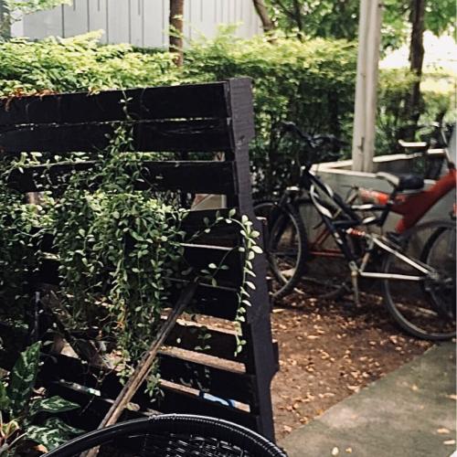 สมาชิกหมายเลข 4852840