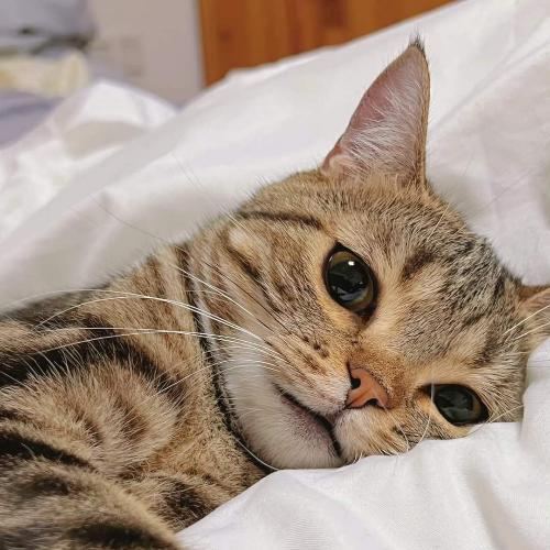 สมาชิกหมายเลข 5213122