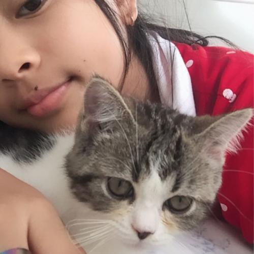 สมาชิกหมายเลข 7054560