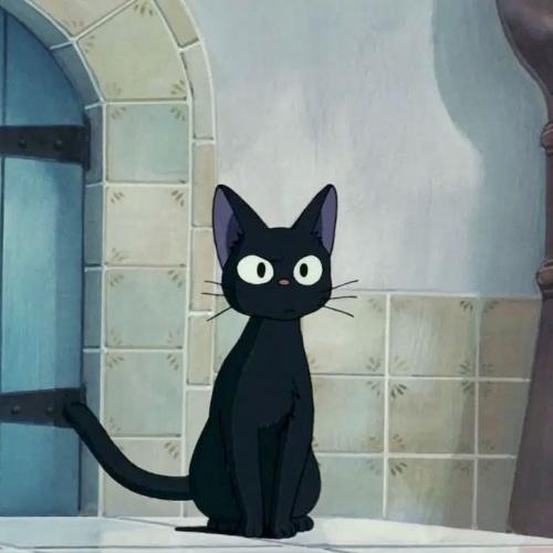 สมาชิกหมายเลข 7220833