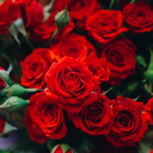 สมาชิกหมายเลข 7220897