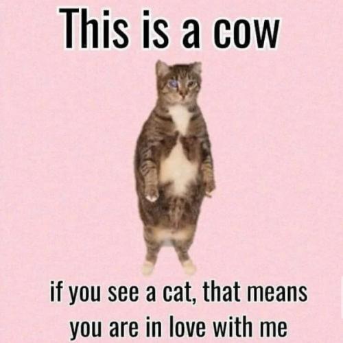 สมาชิกหมายเลข 7220967