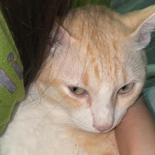 สมาชิกหมายเลข 885248