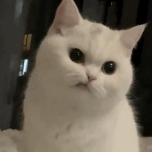 สมาชิกหมายเลข 8030919