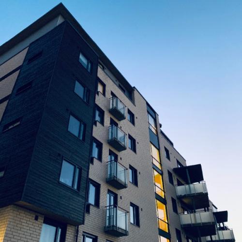 สมาชิกหมายเลข 8031366