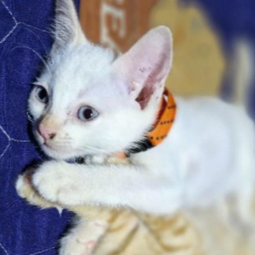 สมาชิกหมายเลข 6673297