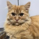 สมาชิกหมายเลข 2781229