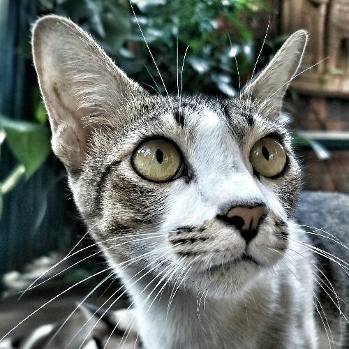 สมาชิกหมายเลข 1795153