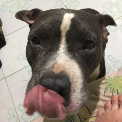 สมาชิกหมายเลข 4647063