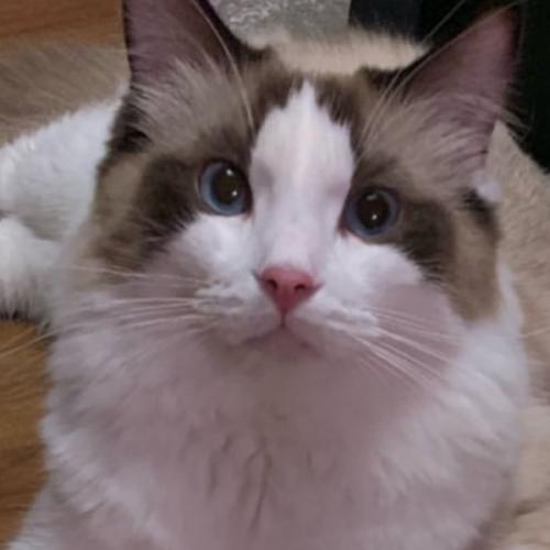 สมาชิกหมายเลข 1360006