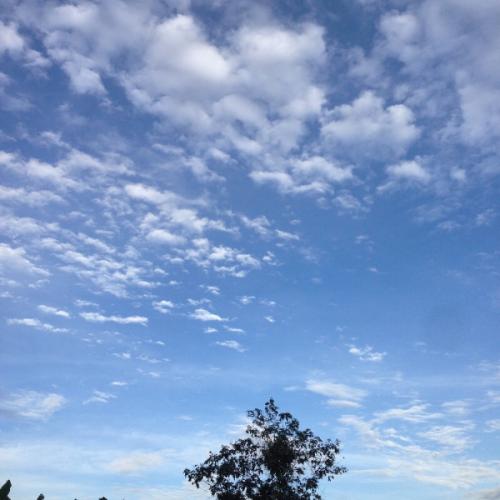 สมาชิกหมายเลข 2217063