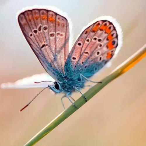 สมาชิกหมายเลข 5907774