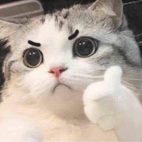 สมาชิกหมายเลข 3905101