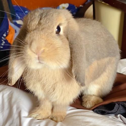 สมาชิกหมายเลข 7221701