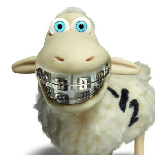 สมาชิกหมายเลข 7994071