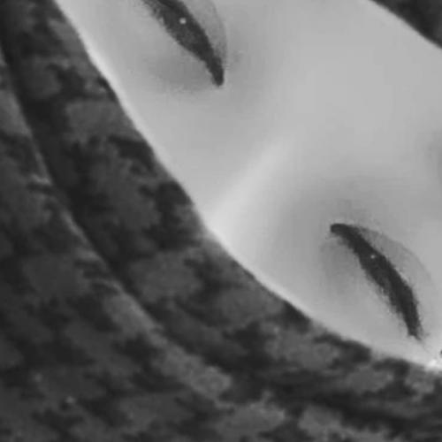 สมาชิกหมายเลข 8032489