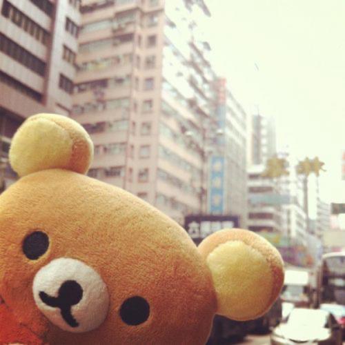 สมาชิกหมายเลข 9057316