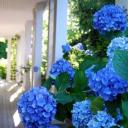 สมาชิกหมายเลข 1457154