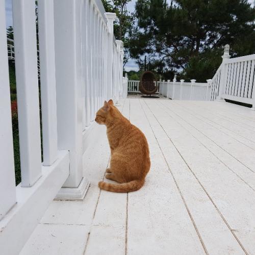 สมาชิกหมายเลข 4980886