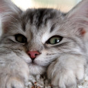 สมาชิกหมายเลข 5402314