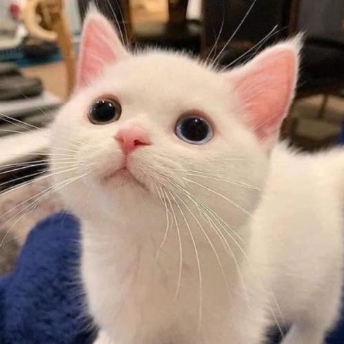 สมาชิกหมายเลข 6510590