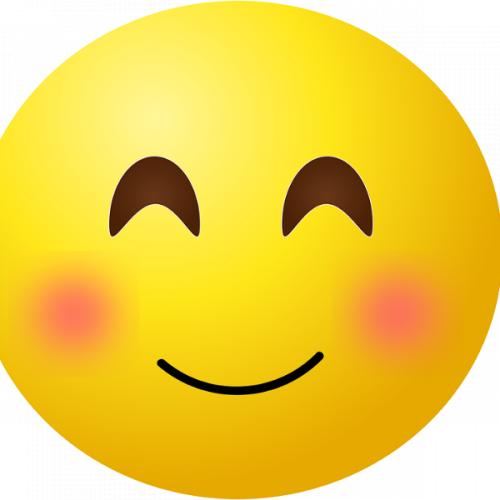 สมาชิกหมายเลข 4908826