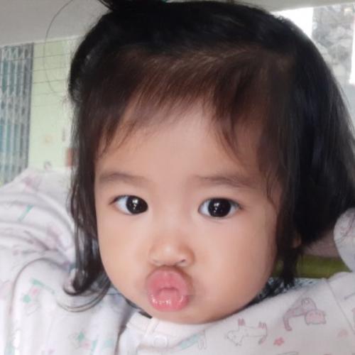 สมาชิกหมายเลข 7222068