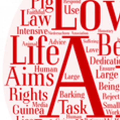 สมาชิกหมายเลข 9058043