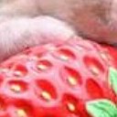 สมาชิกหมายเลข 3057518