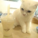 สมาชิกหมายเลข 4257479