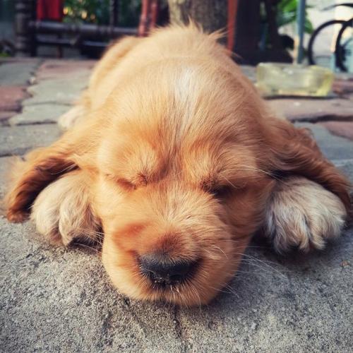 สมาชิกหมายเลข 4263115