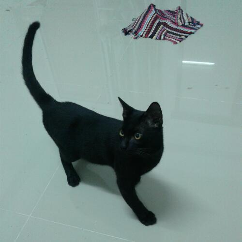 สมาชิกหมายเลข 1169118