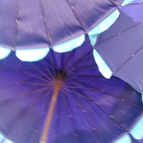 สมาชิกหมายเลข 3794915