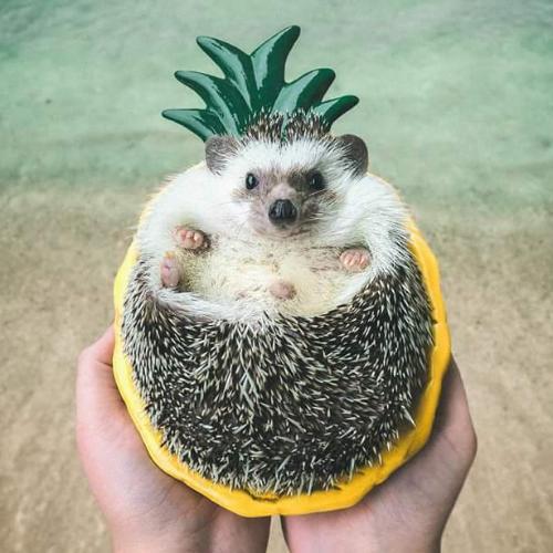 สมาชิกหมายเลข 4647935