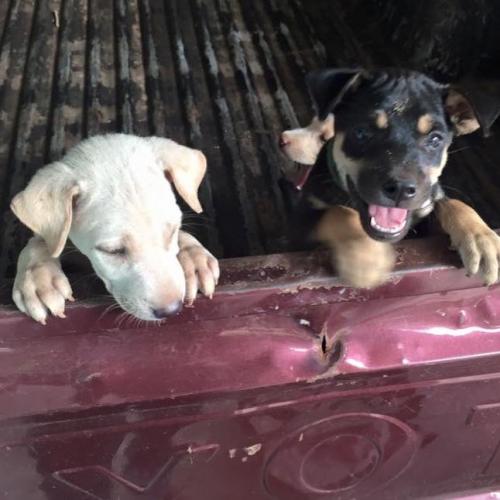 สมาชิกหมายเลข 4975126