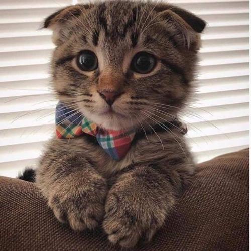 สมาชิกหมายเลข 5402827