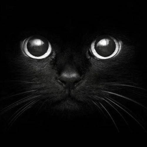 สมาชิกหมายเลข 5403091