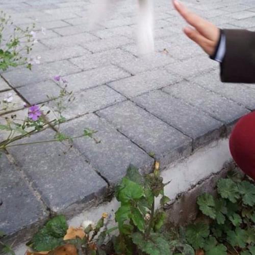 สมาชิกหมายเลข 5909069