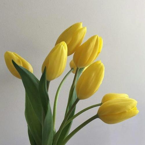 สมาชิกหมายเลข 5909391