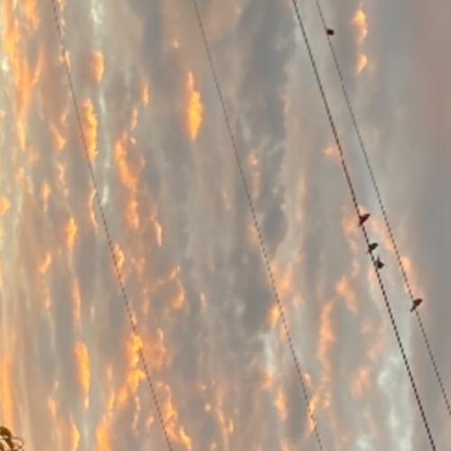 สมาชิกหมายเลข 6302464