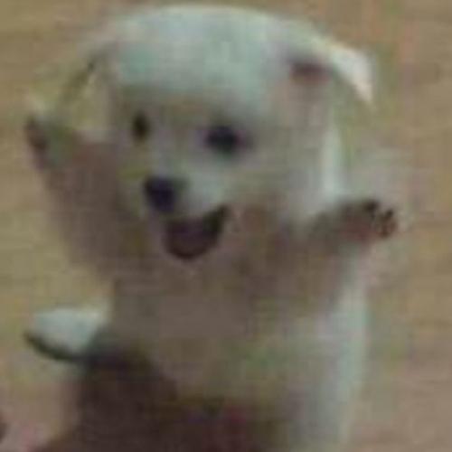 สมาชิกหมายเลข 9058397