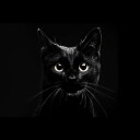 สาวน้อยเสียงดี