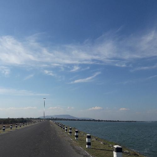 สมาชิกหมายเลข 4450550