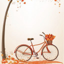 สมาชิกหมายเลข 3234339